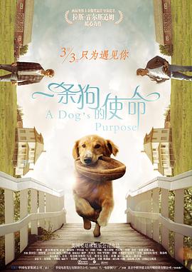 国产成人毛片视频不卡在线