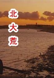 日本a级不卡