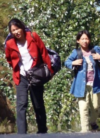 真相