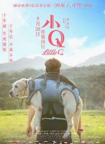 伊人成年综合网