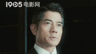 国产精品三极片